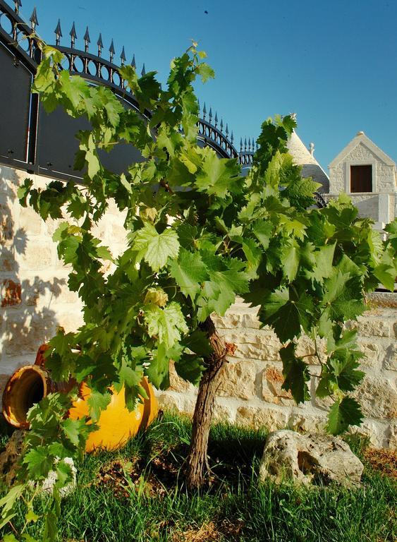 Trulli Isago Bed & Breakfast โลโกโรตอนโด ภายนอก รูปภาพ